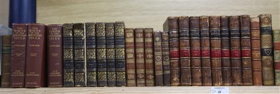 Leatherbound - some 19 various titles (46 books)